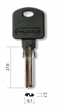 Заготовка ключа  Palladium E-197