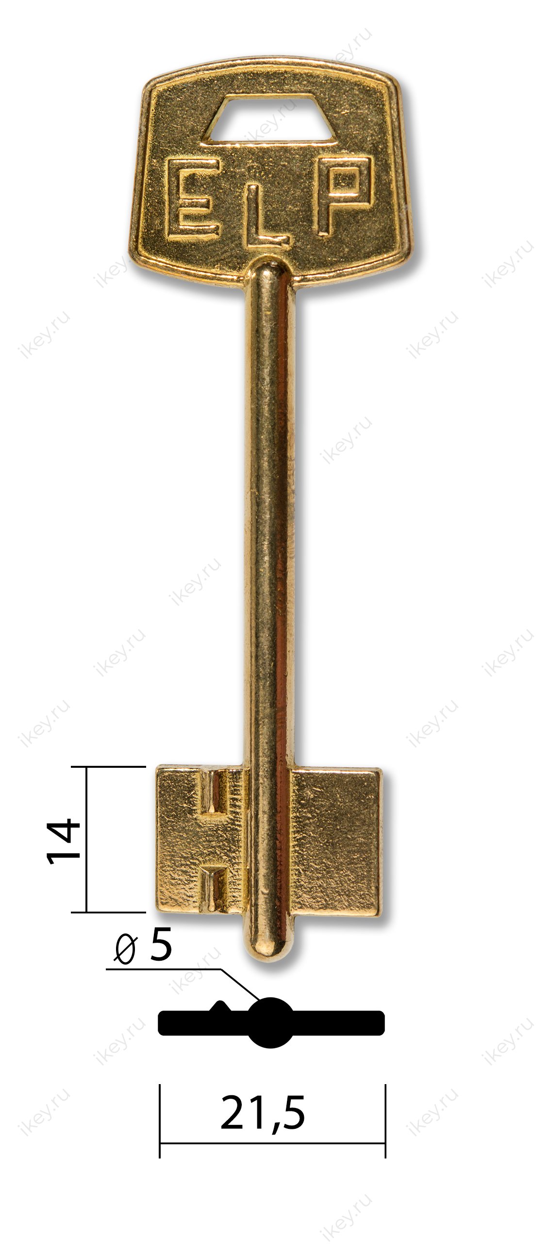 ELP-1 - 1
