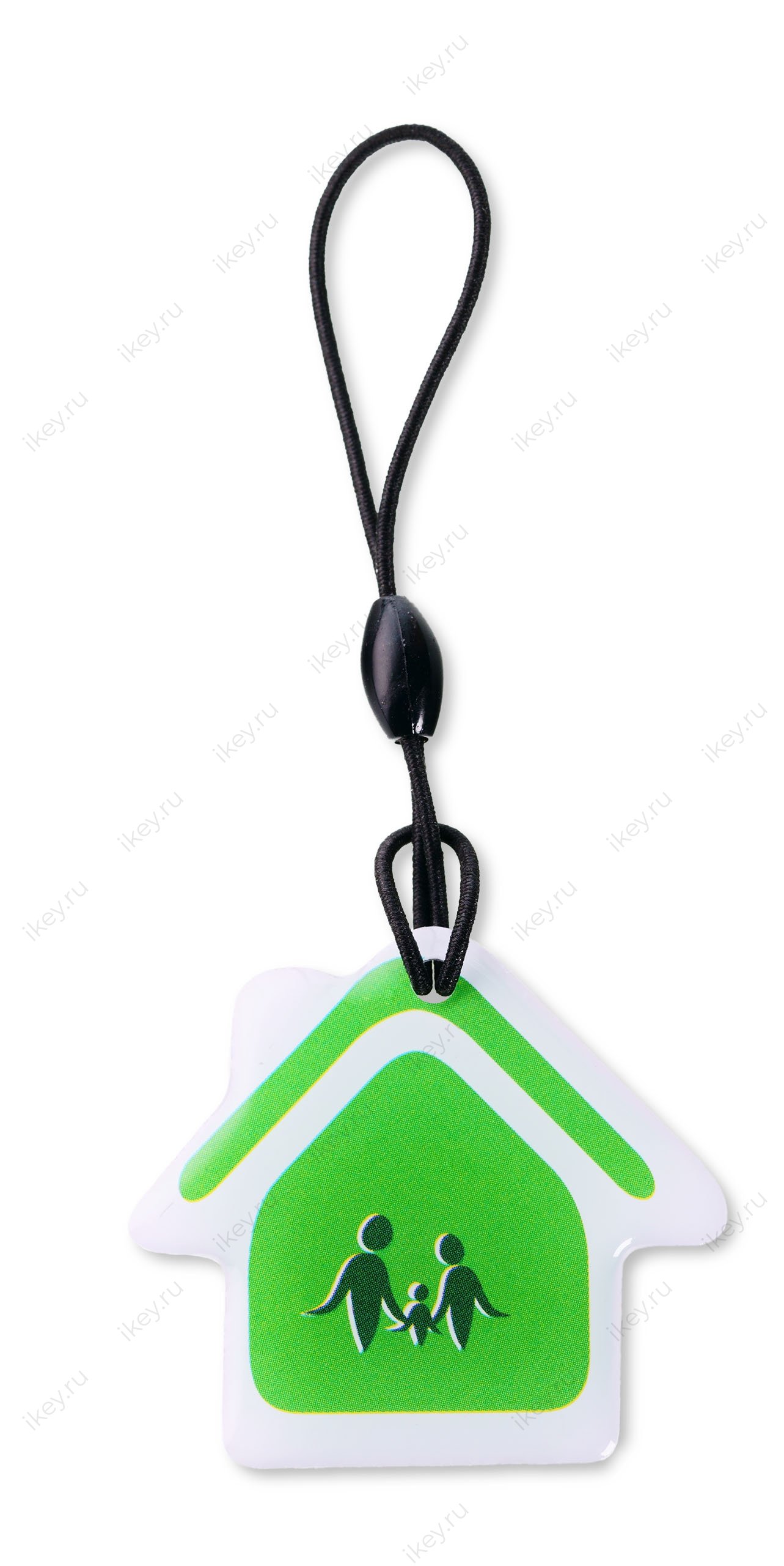 Дом EPOXY (чип H5.5) - 1