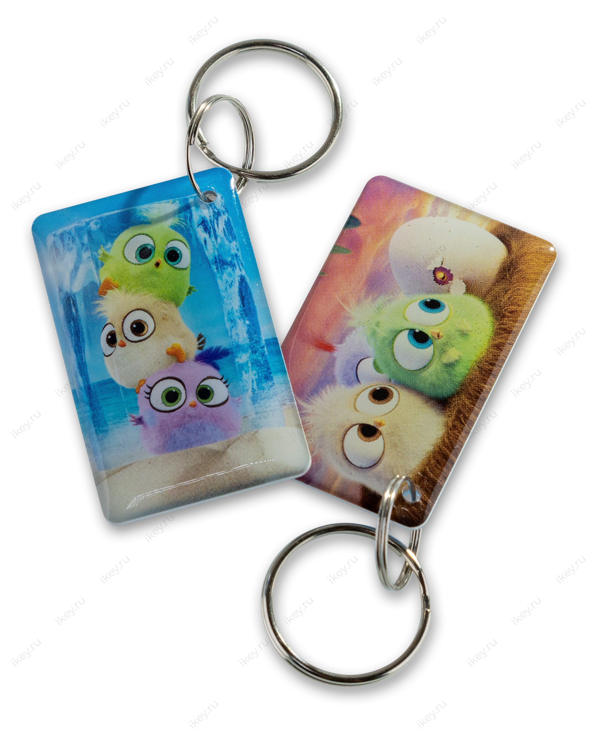 Птички EPOXY (чип H2) - 1