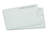 Заготовка толстая карта iCS - 1