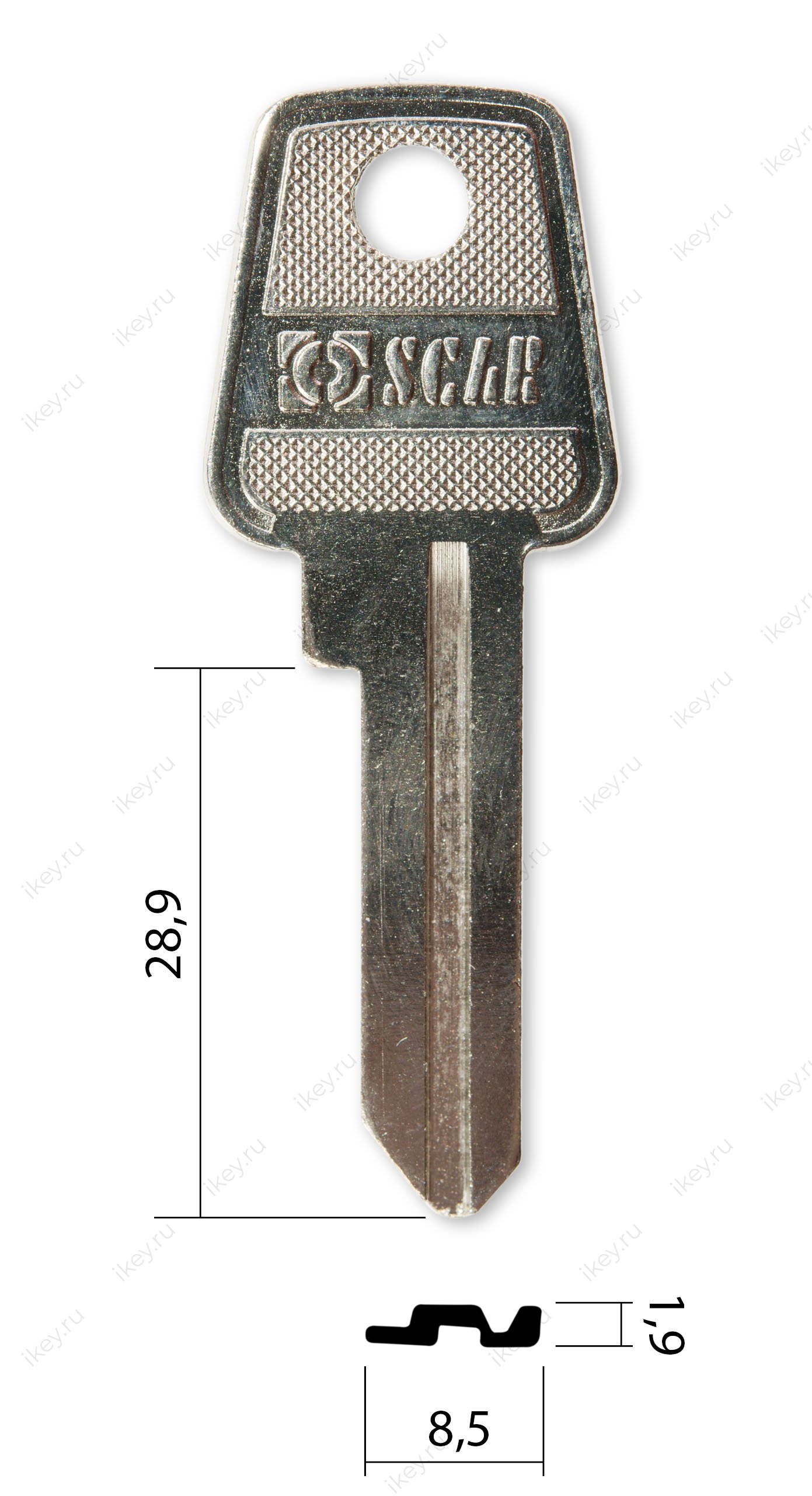 MCL-1D | MC1D | MSC1 | XR40D - 1