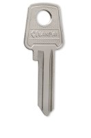 MCL-1 - 2