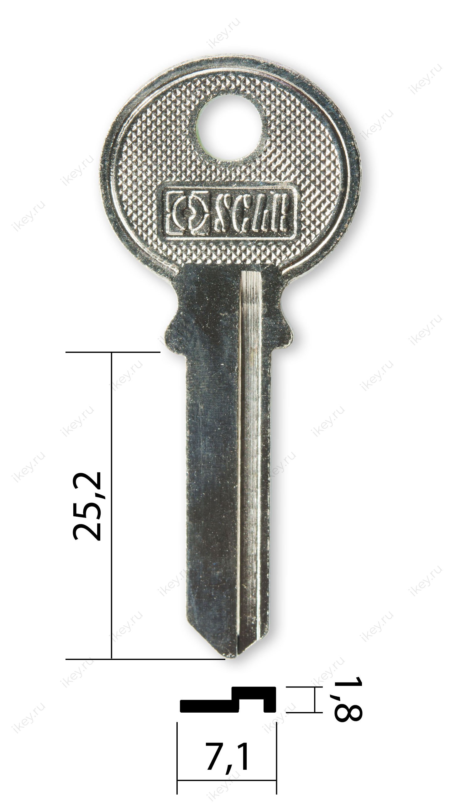 TRI-7I | TR1 | TL1R | TRC40L - 1