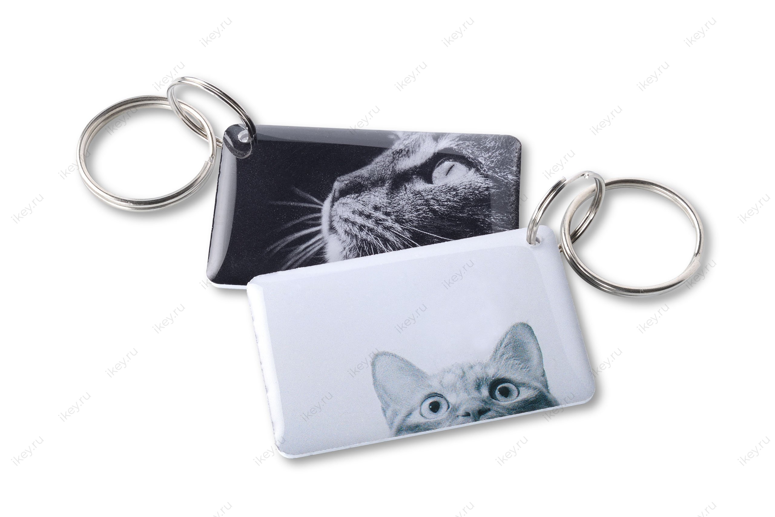 Кот EPOXY (чип H2) - 1