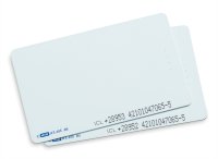 Заготовка тонкая карта iCL - 1