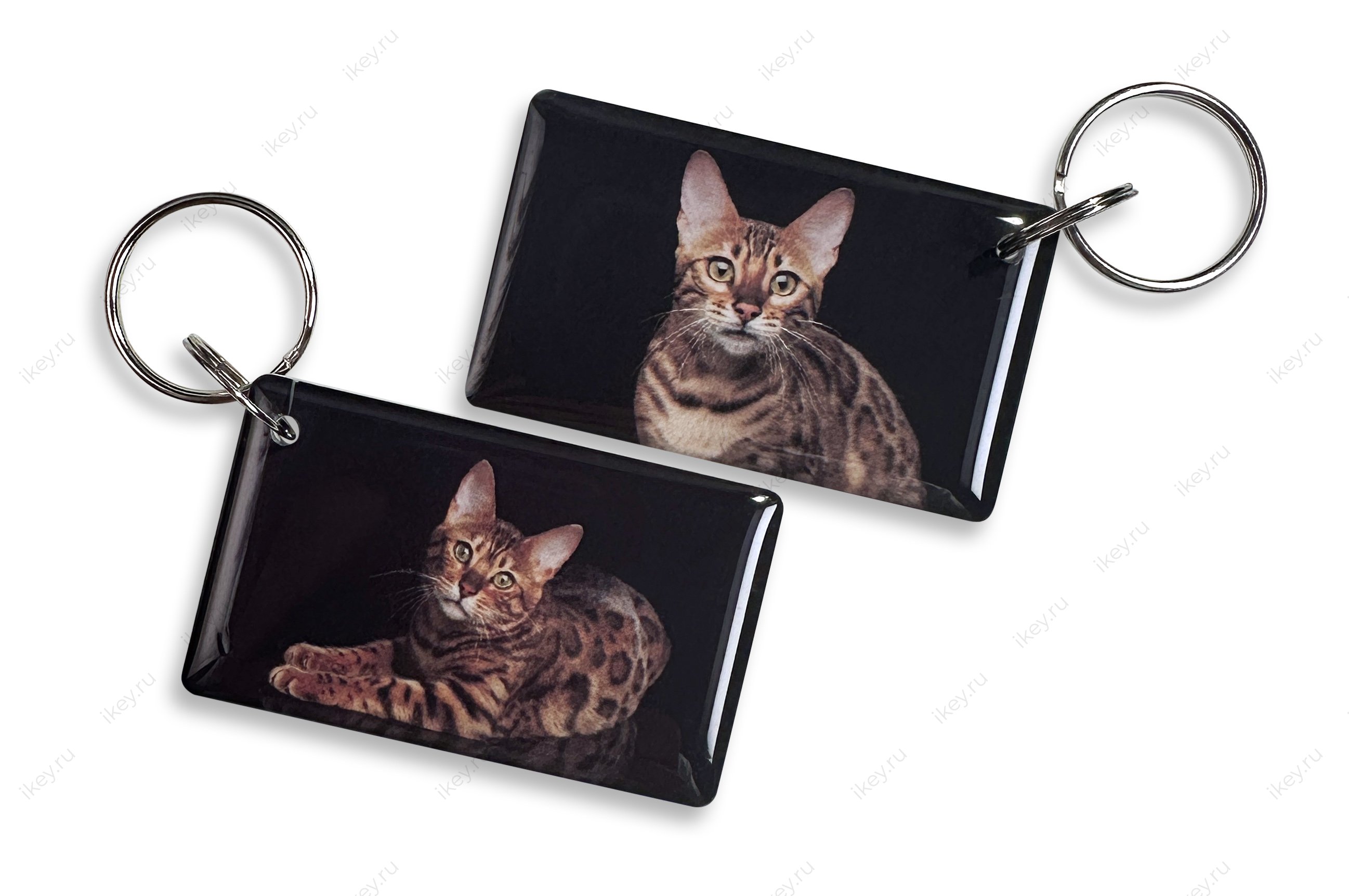 Бенгальский кот EPOXY (чип H5.5) - 1