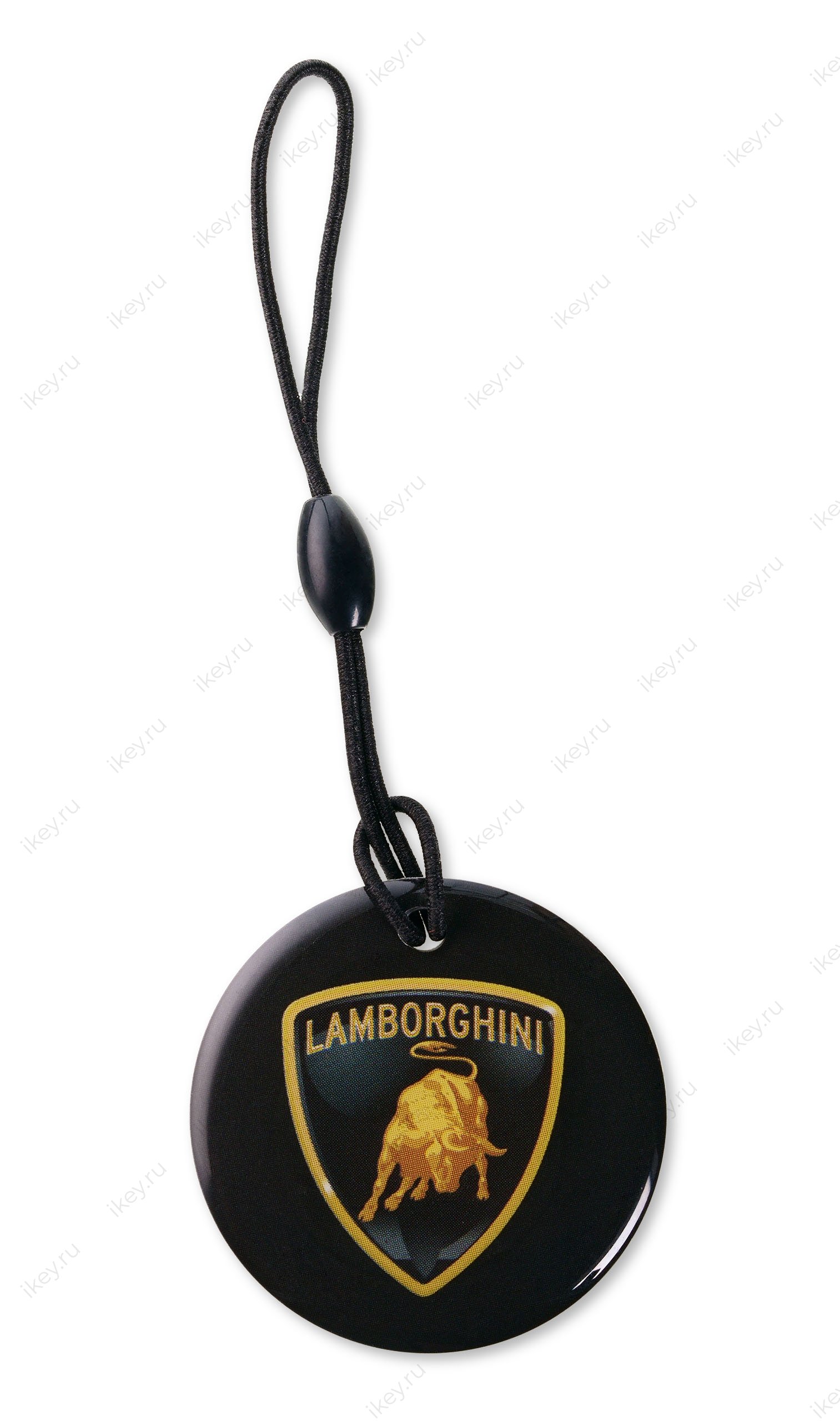 Lamborghini EPOXY (чип Н5.5) - 1