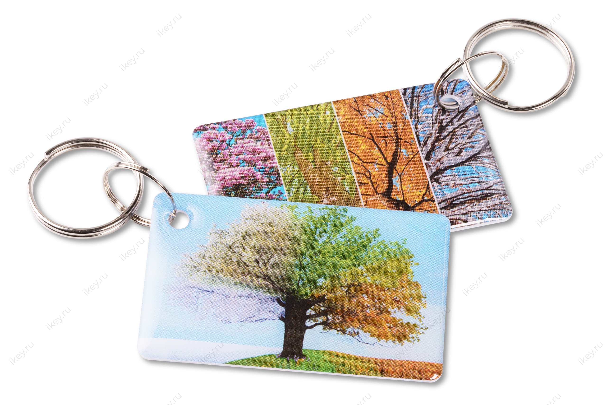 Времена года EPOXY (чип H2) - 1