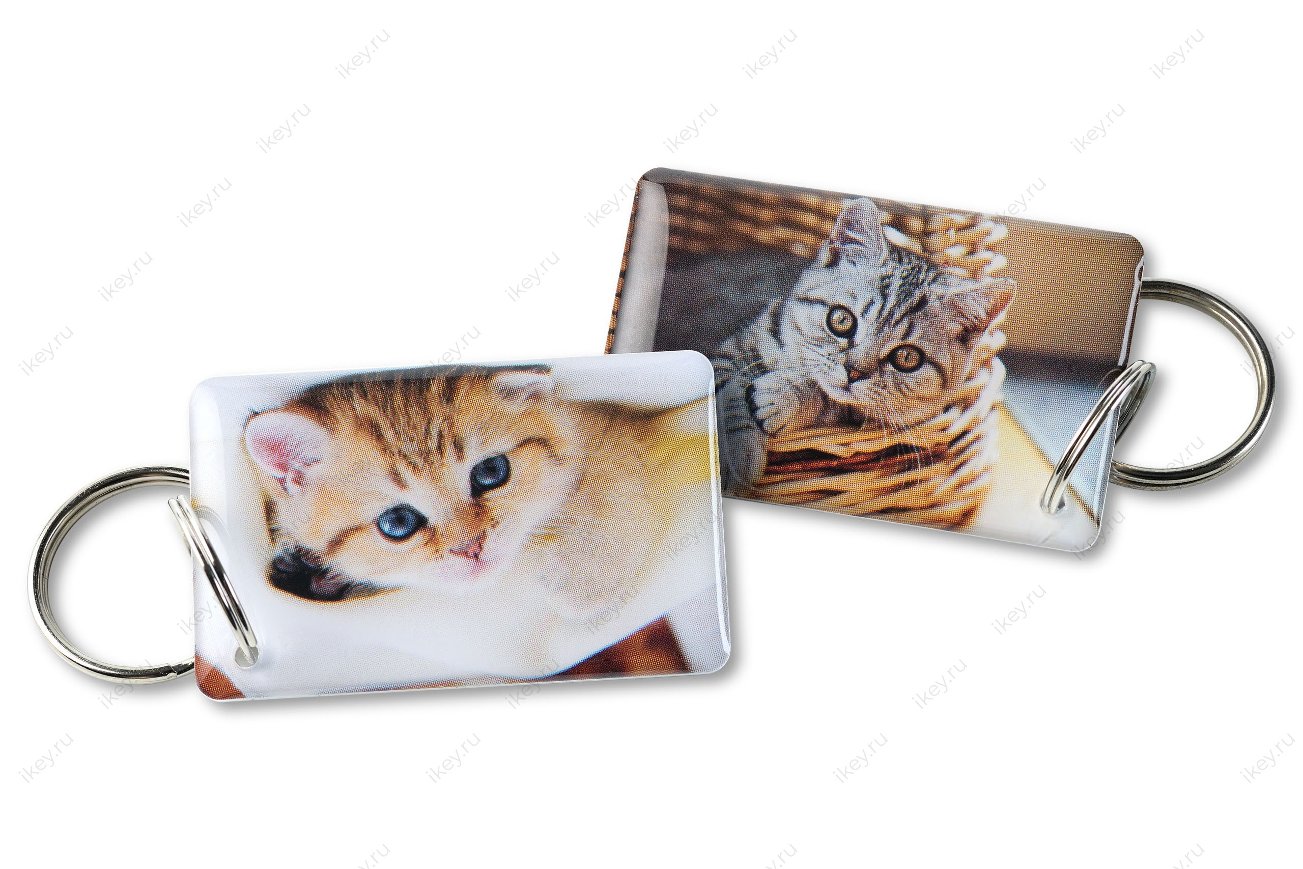 Котята EPOXY (чип H2) - 1