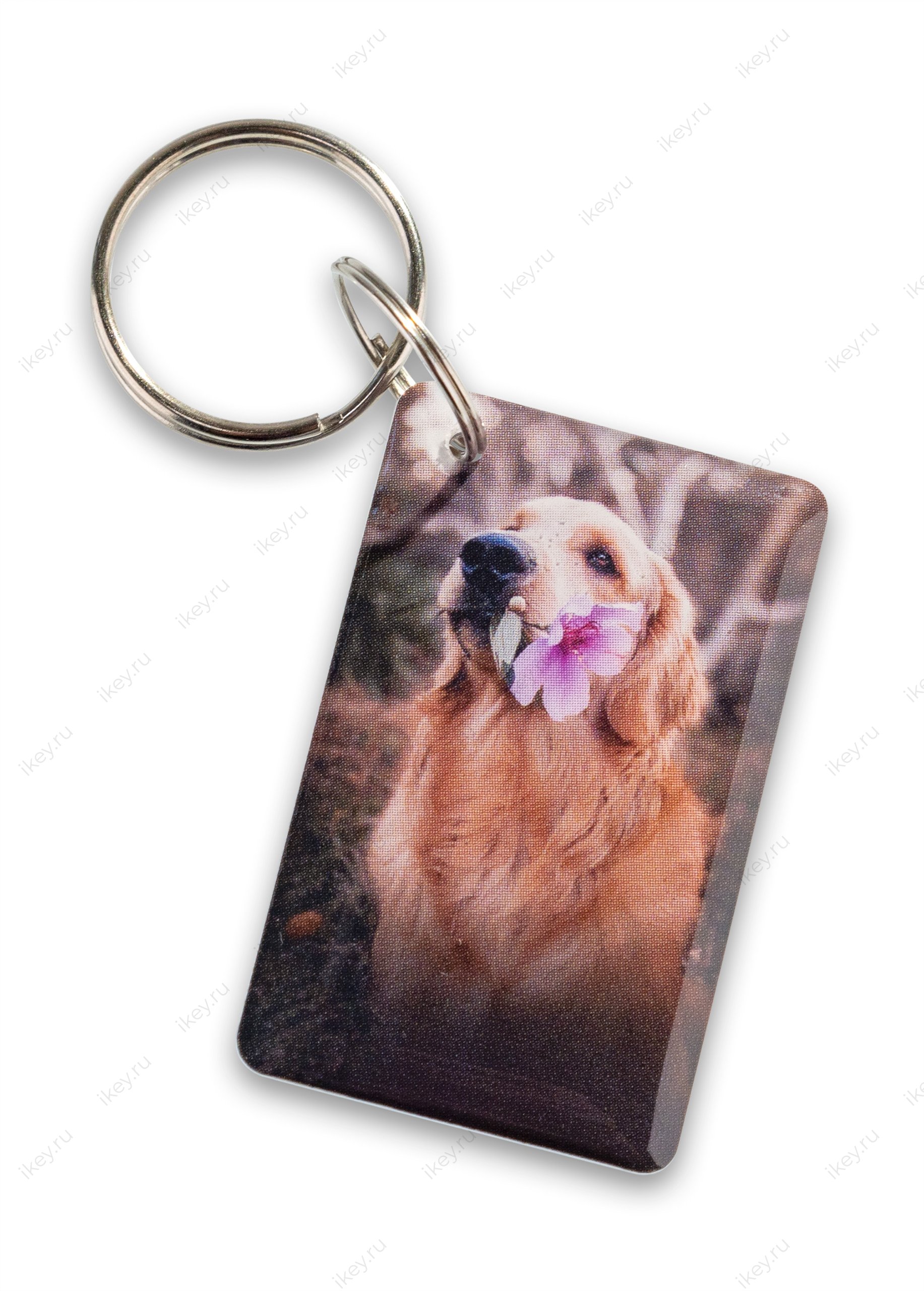 Ретривер EPOXY (чип H2) - 1