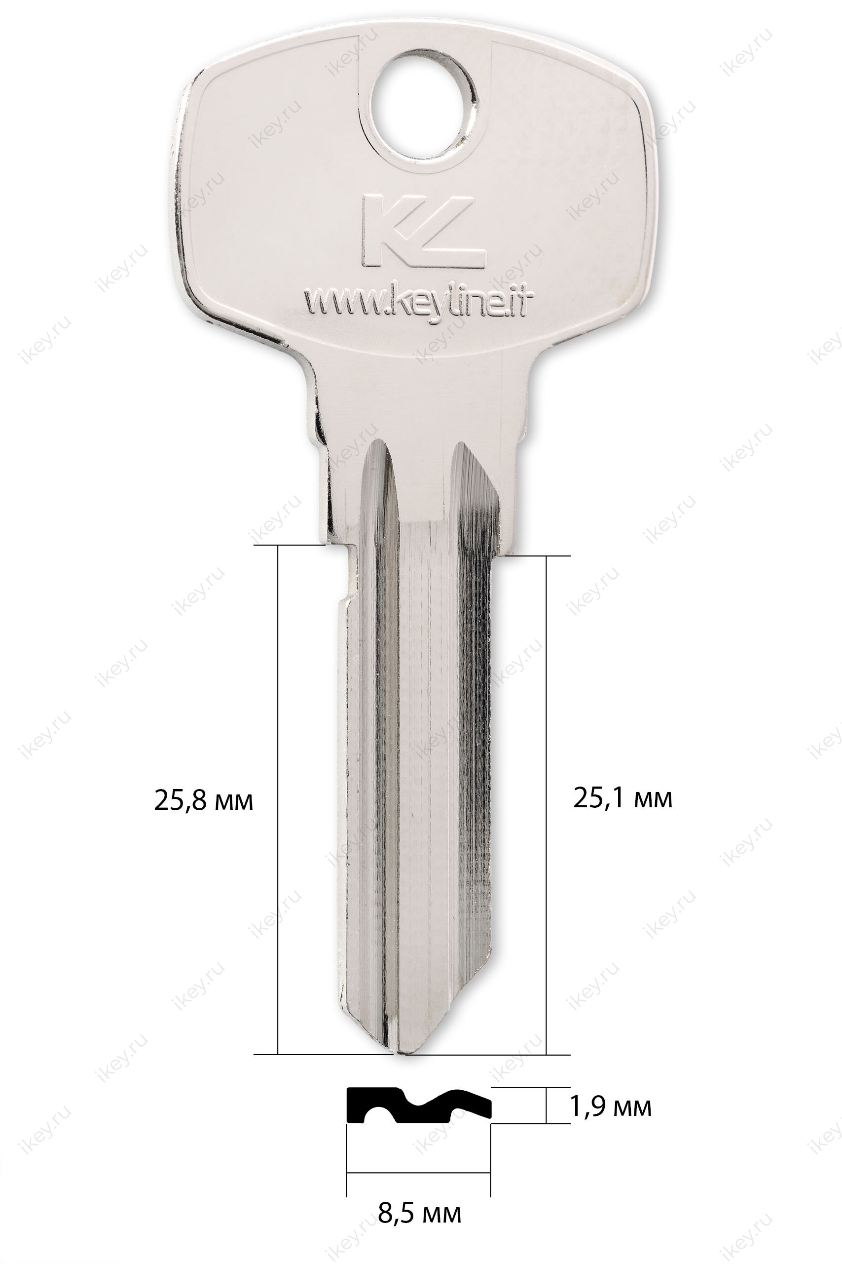 MSM-2D | MS1/MSM2 (имп.) - 1
