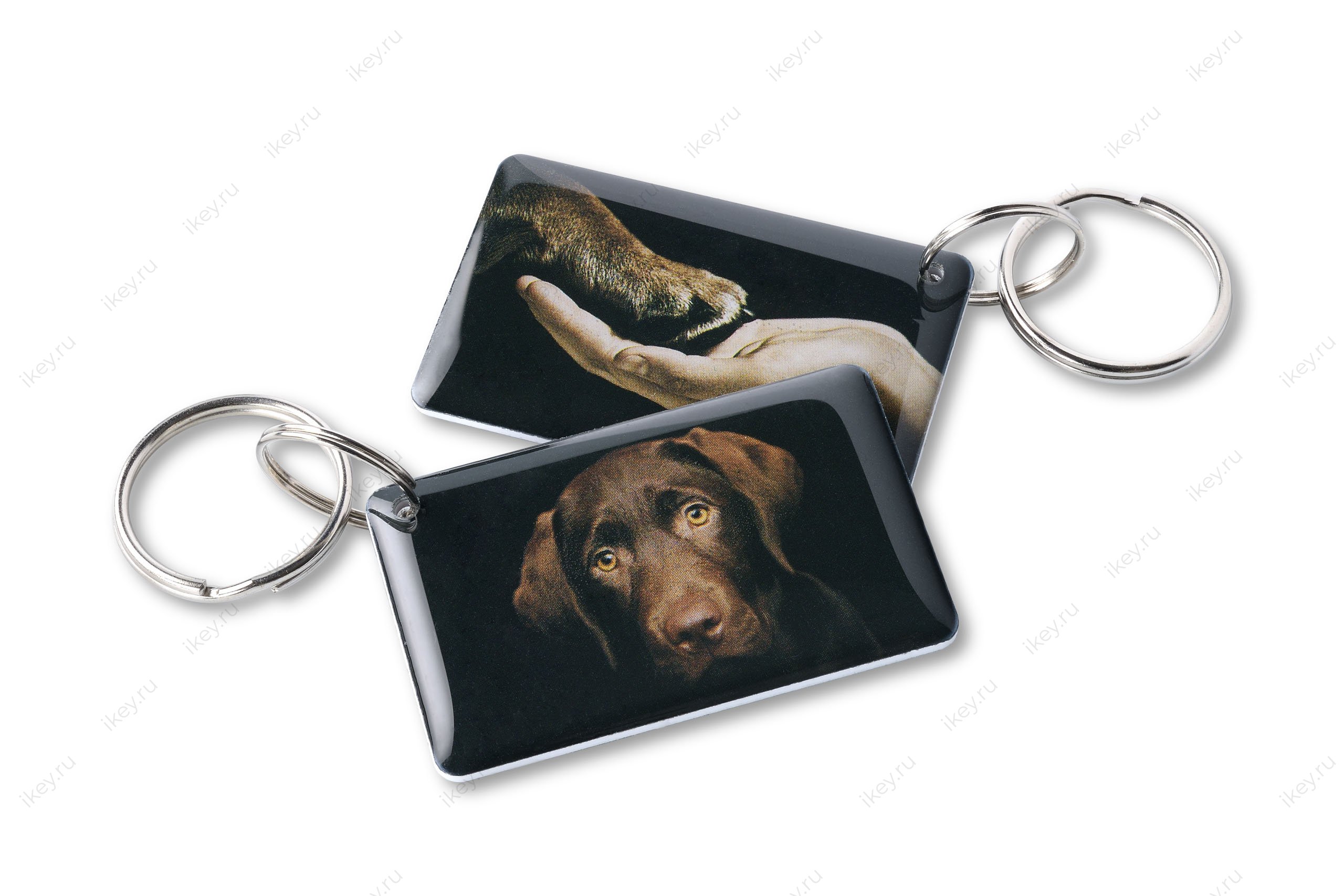 Пёс EPOXY (чип H2) - 1