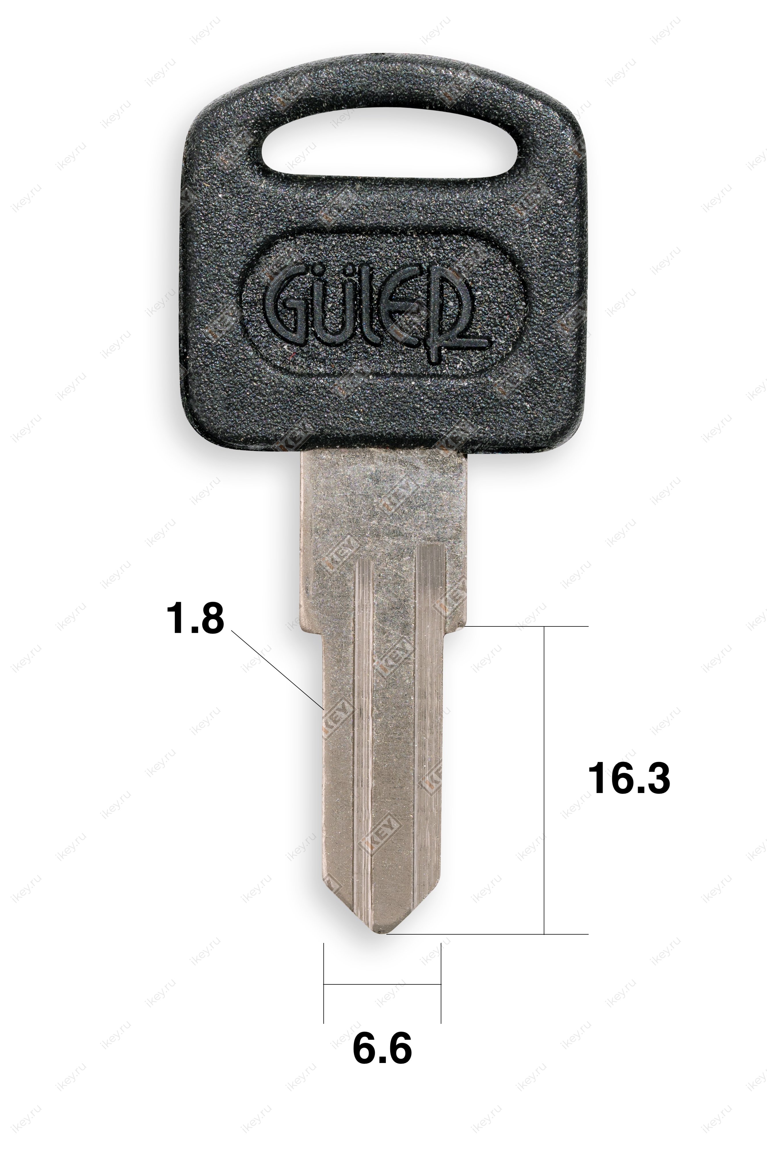 ARM1P | EVG1P (Guler/Canas) - 1