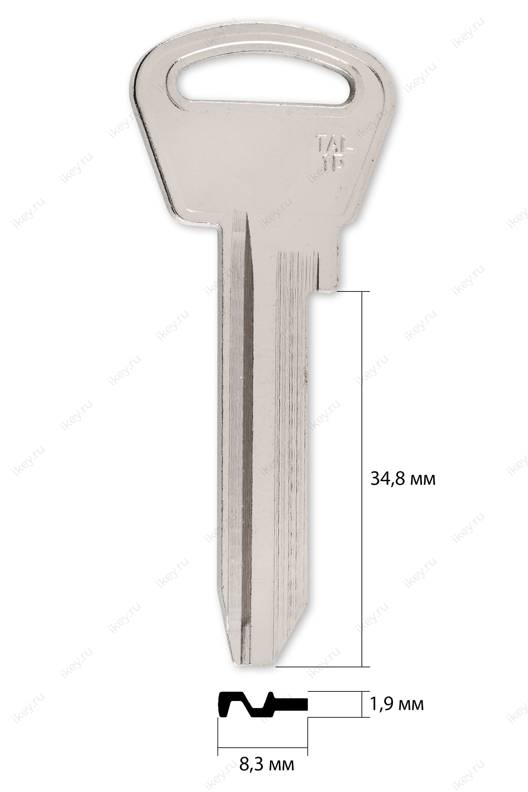 TAL-1D | TLN1D | MTS1 | XR26D - 1