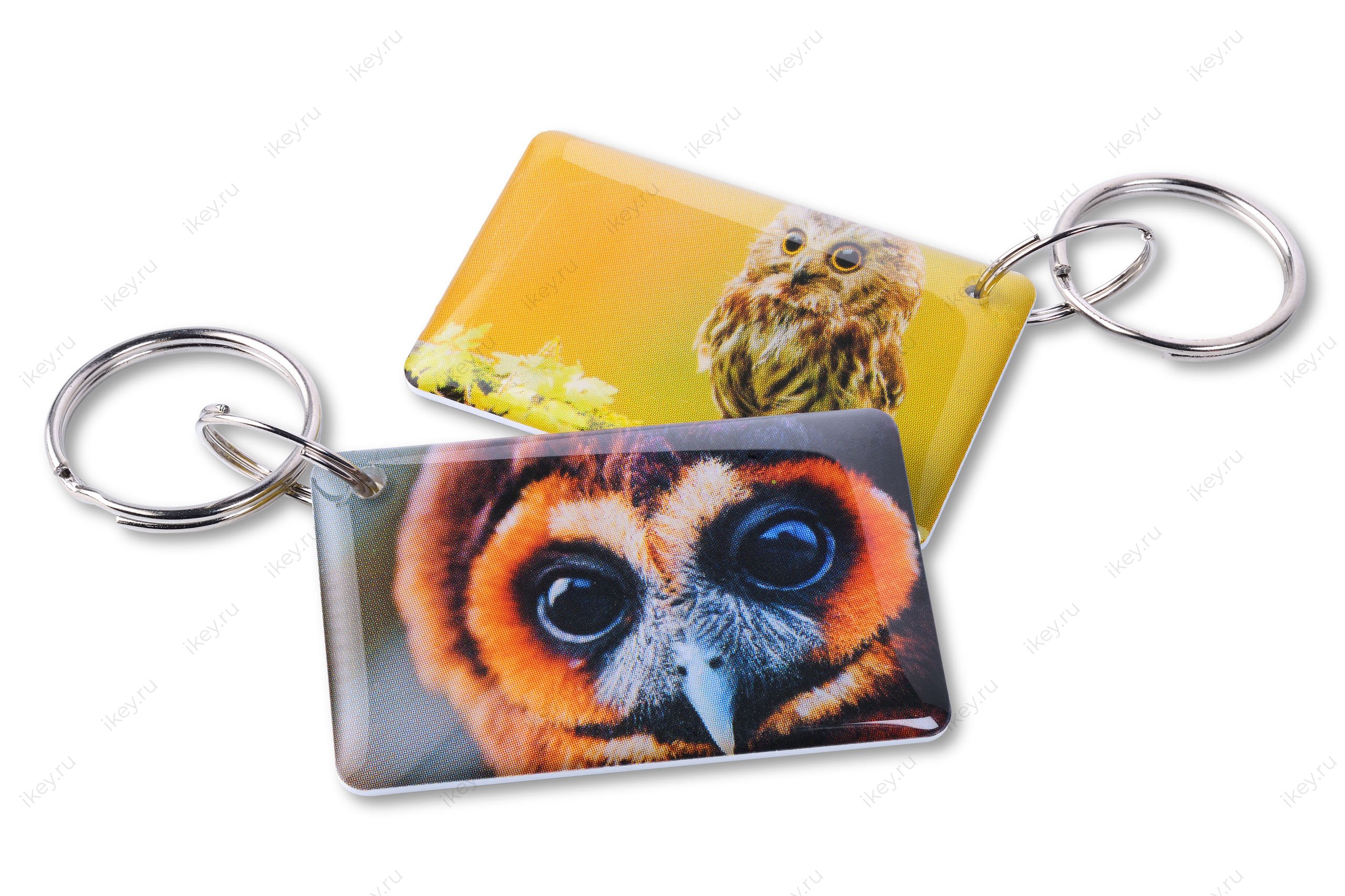 Сова EPOXY (чип H2) - 1