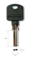 Palladium E-197 - 1